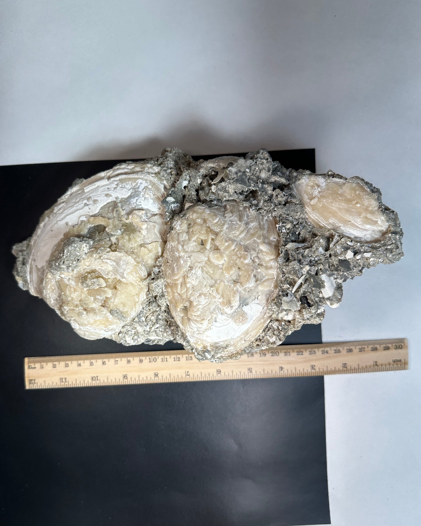 Rucks Pit Calcite Clams