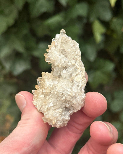 Jacksons Crossroads Quartz
