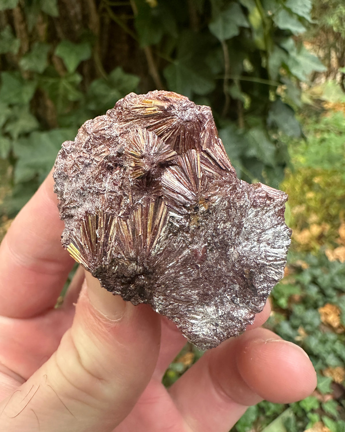 Pyrophyllite