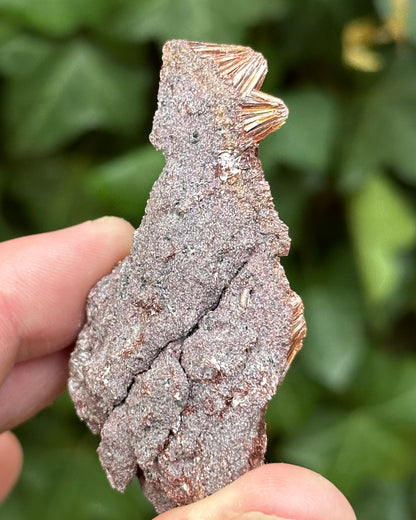 Pyrophyllite Specimen