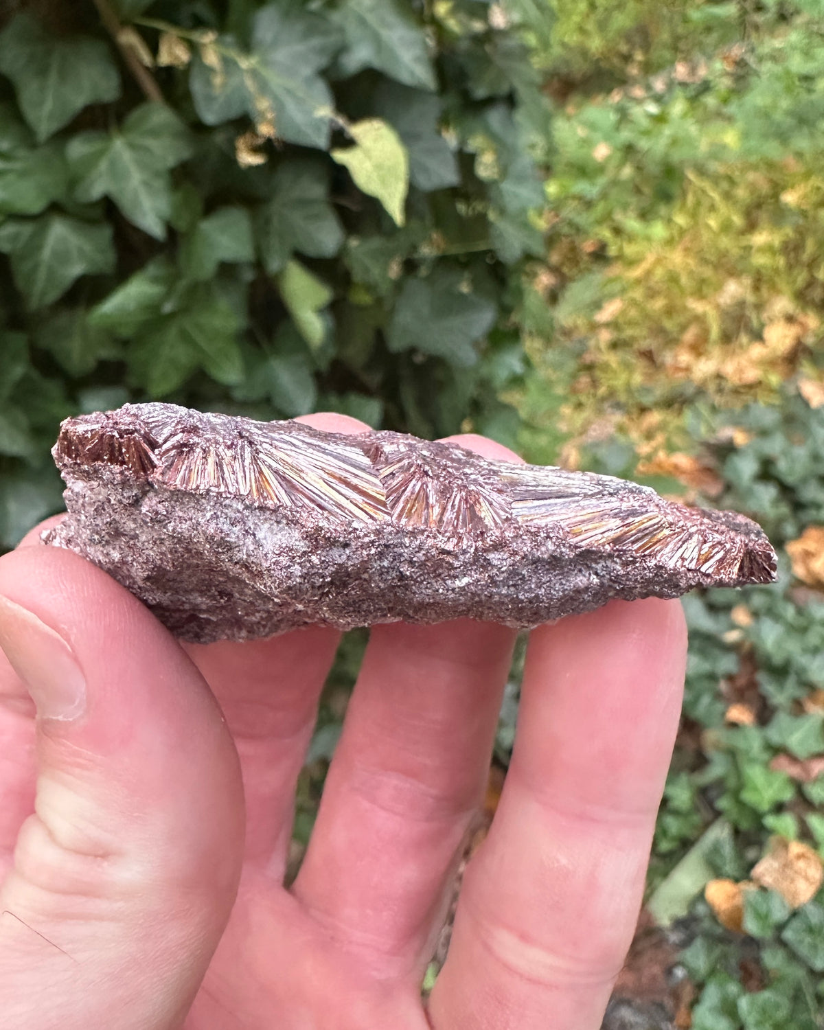 Graves Mountain Pyrophyllite