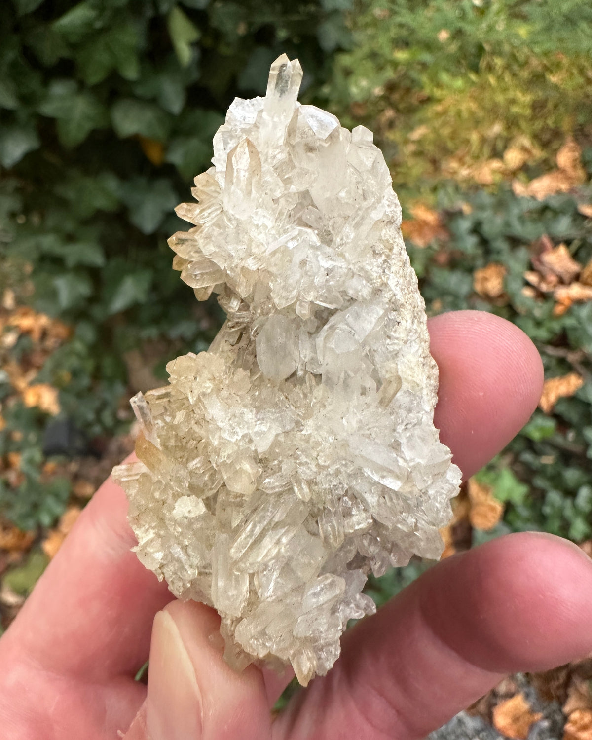 Jacksons Crossroads Quartz