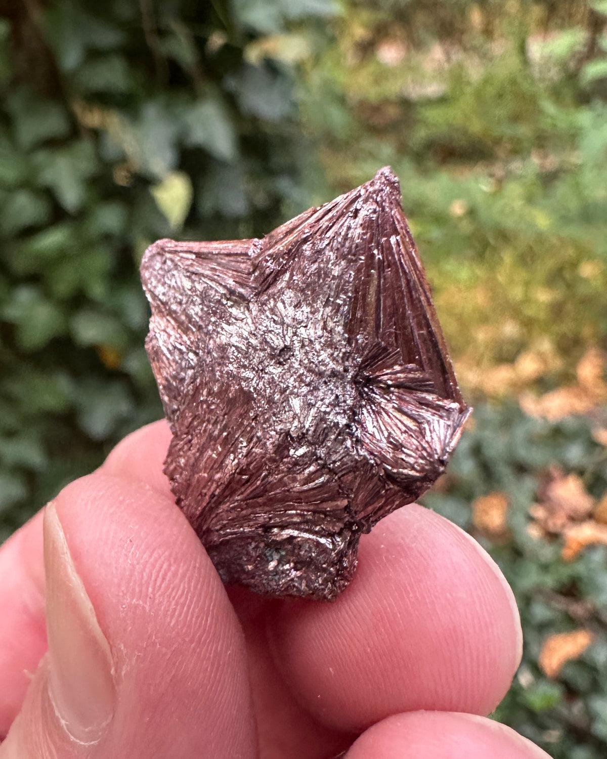 Pyrophyllite Cluster