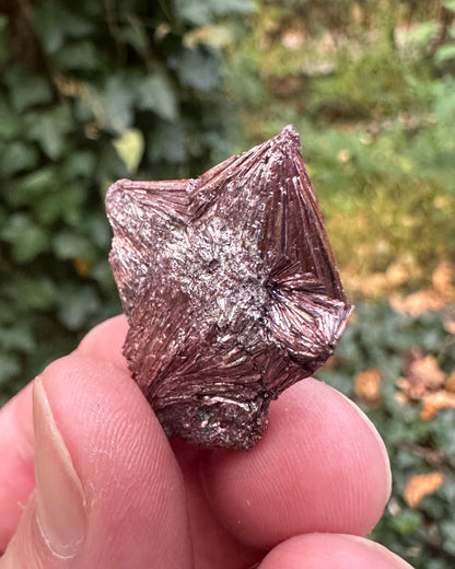 Pyrophyllite Cluster