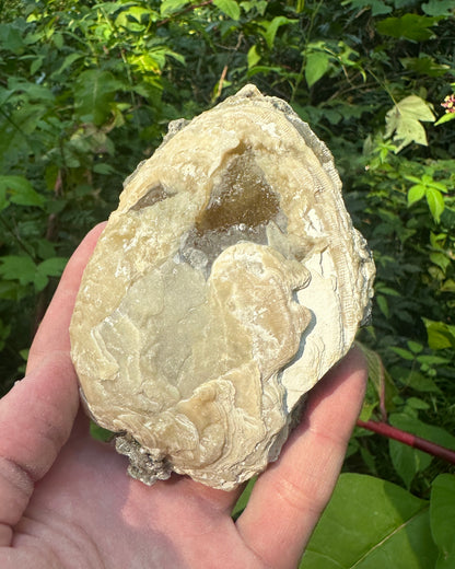 Calcite Clam