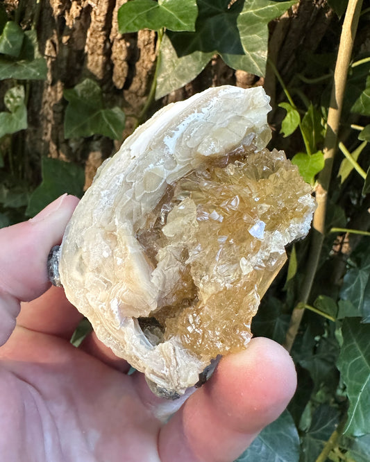 Dogtooth Calcite