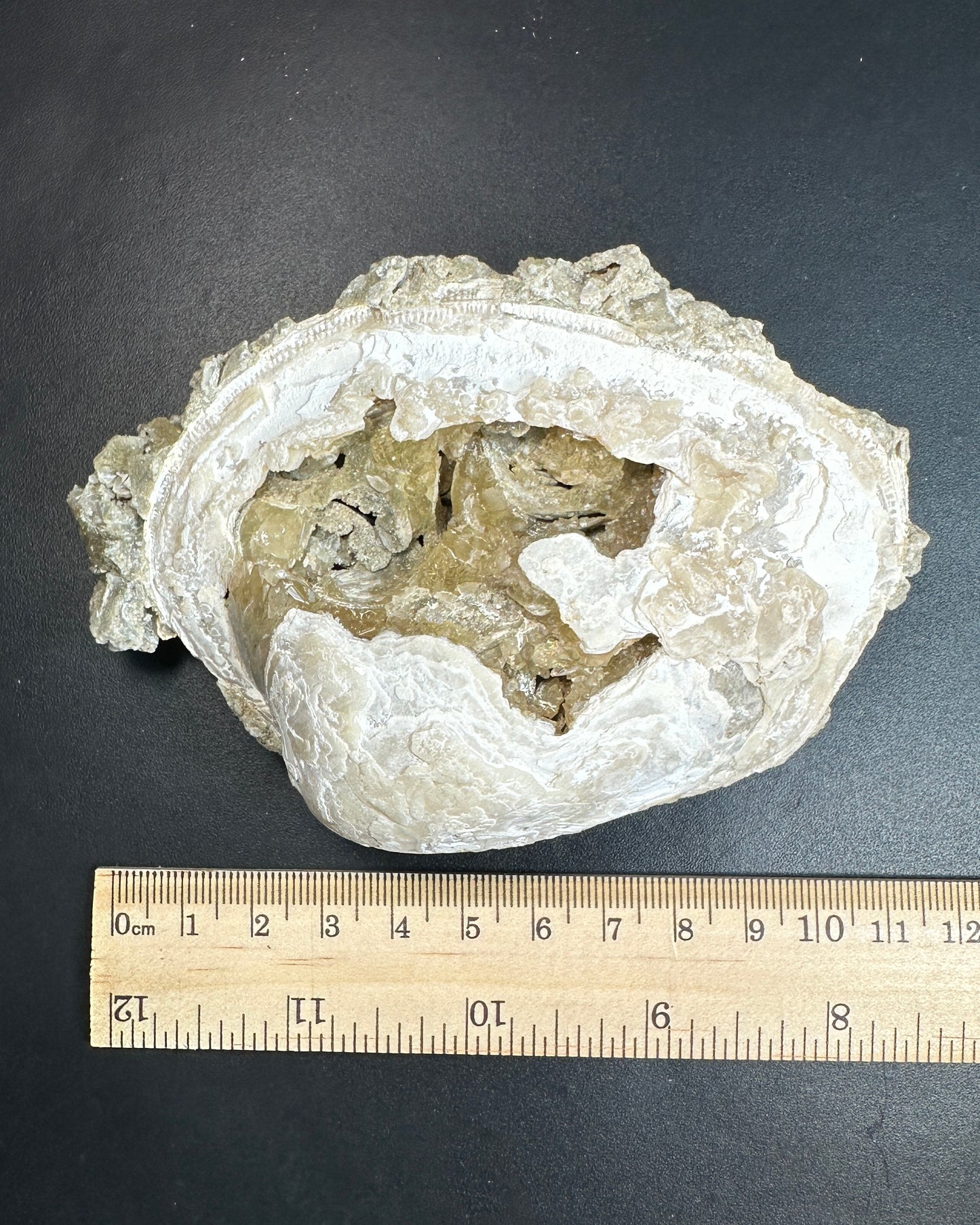 Unique Calcite Clam