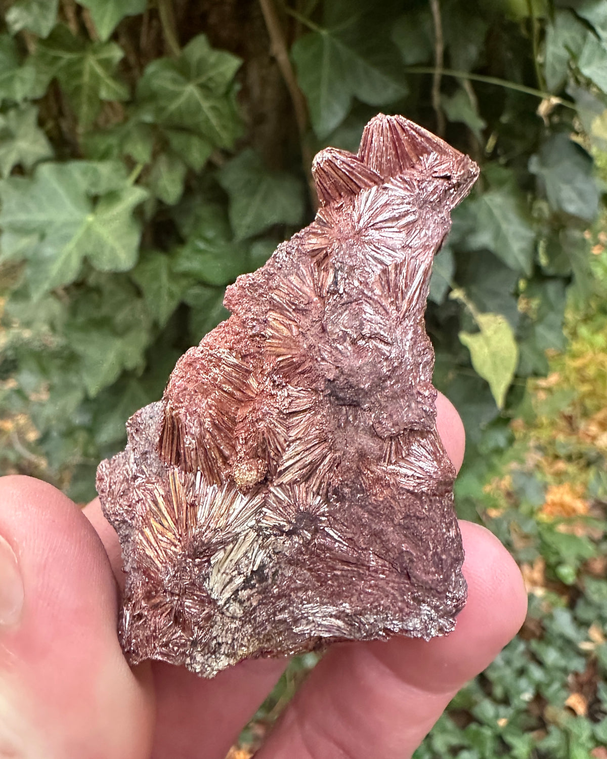 Pyrophyllite Specimen