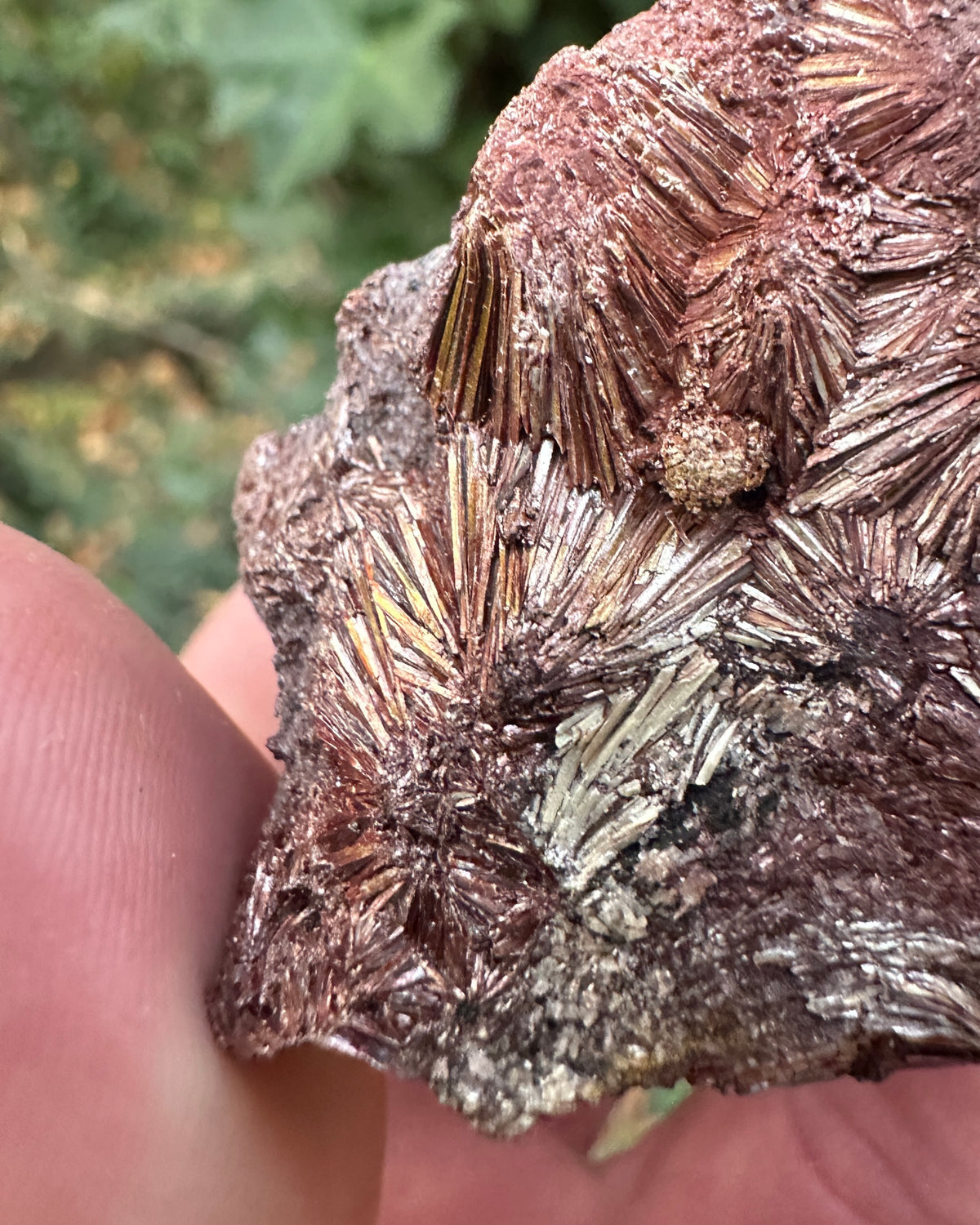 Pyrophyllite Specimen