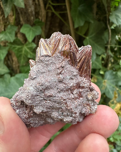 Pyrophyllite from Georgia