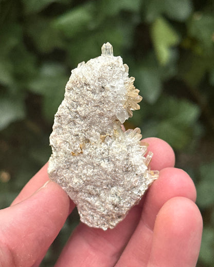 Jacksons Crossroads Quartz
