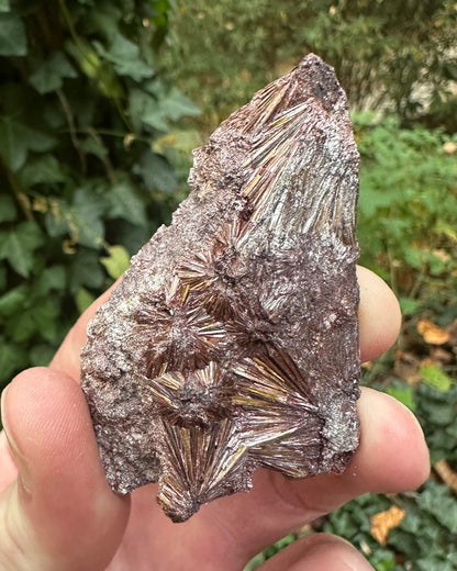 Graves Mountain Pyrophyllite
