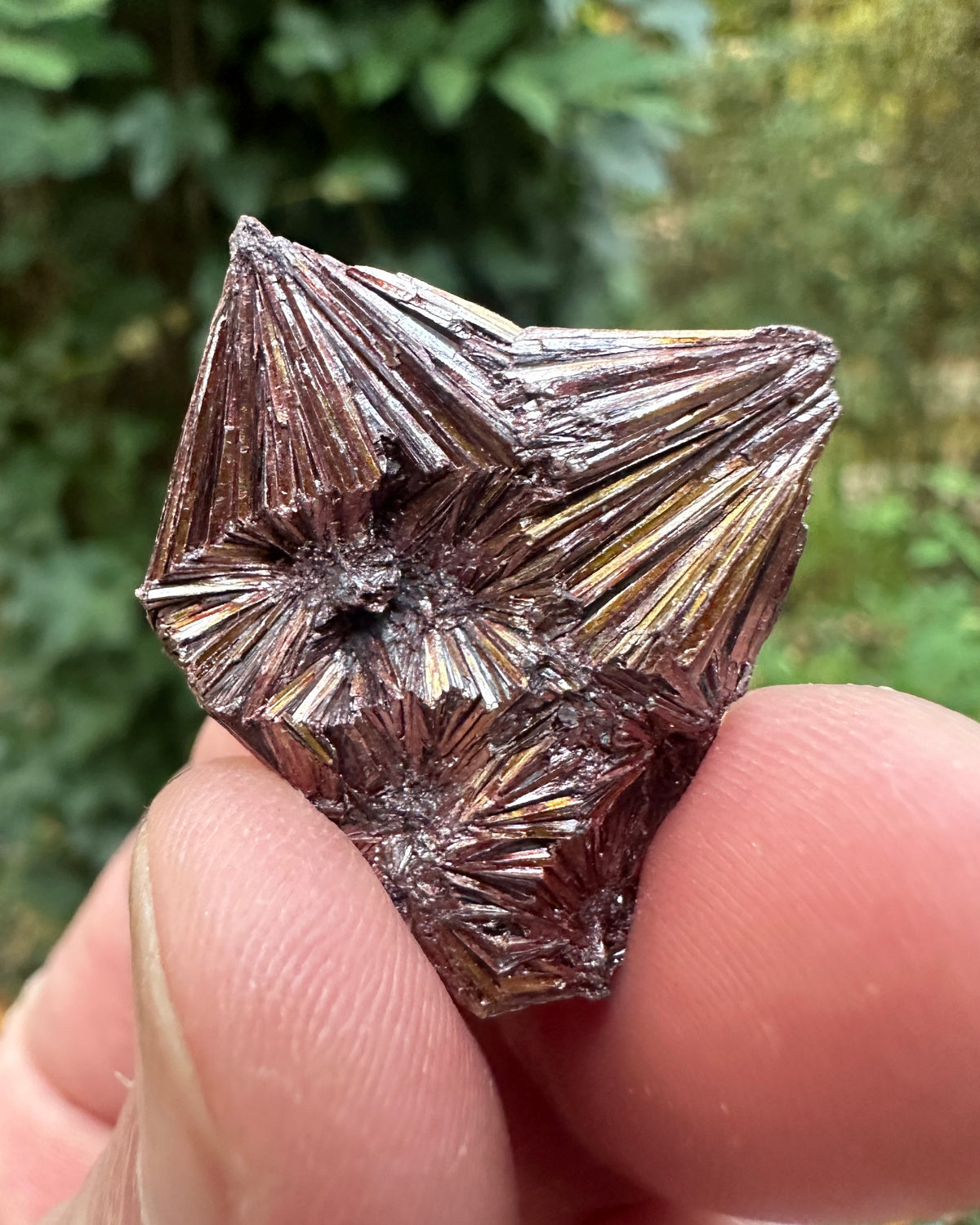 Pyrophyllite Cluster