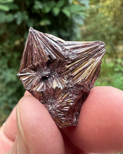 Pyrophyllite Cluster