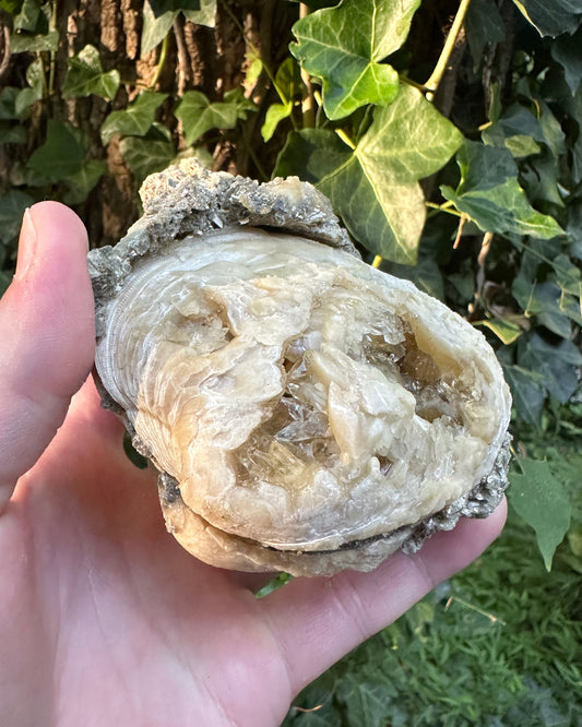 Calcite Crystal Clam