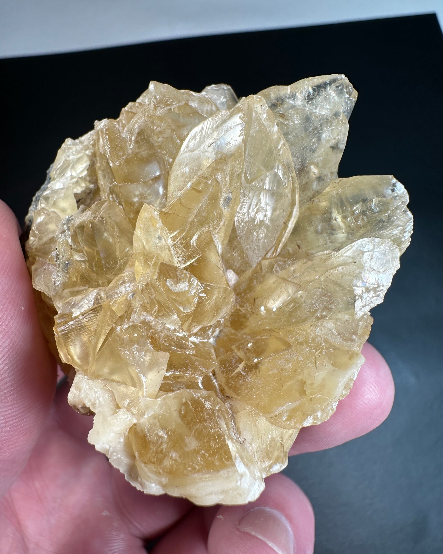 Huge Florida Calcite Crystals