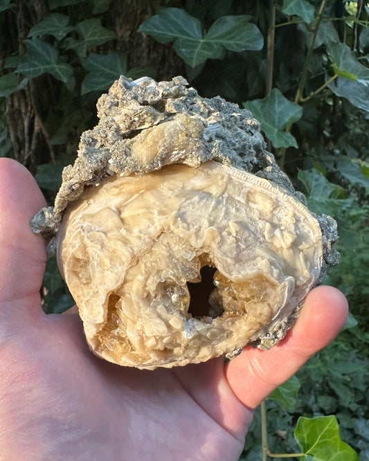 Calcite Crystal Clam