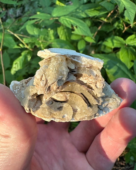 Unique Calcite Specimen