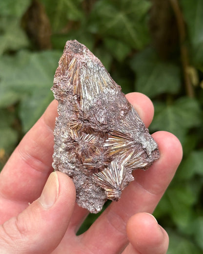 Graves Mountain Pyrophyllite