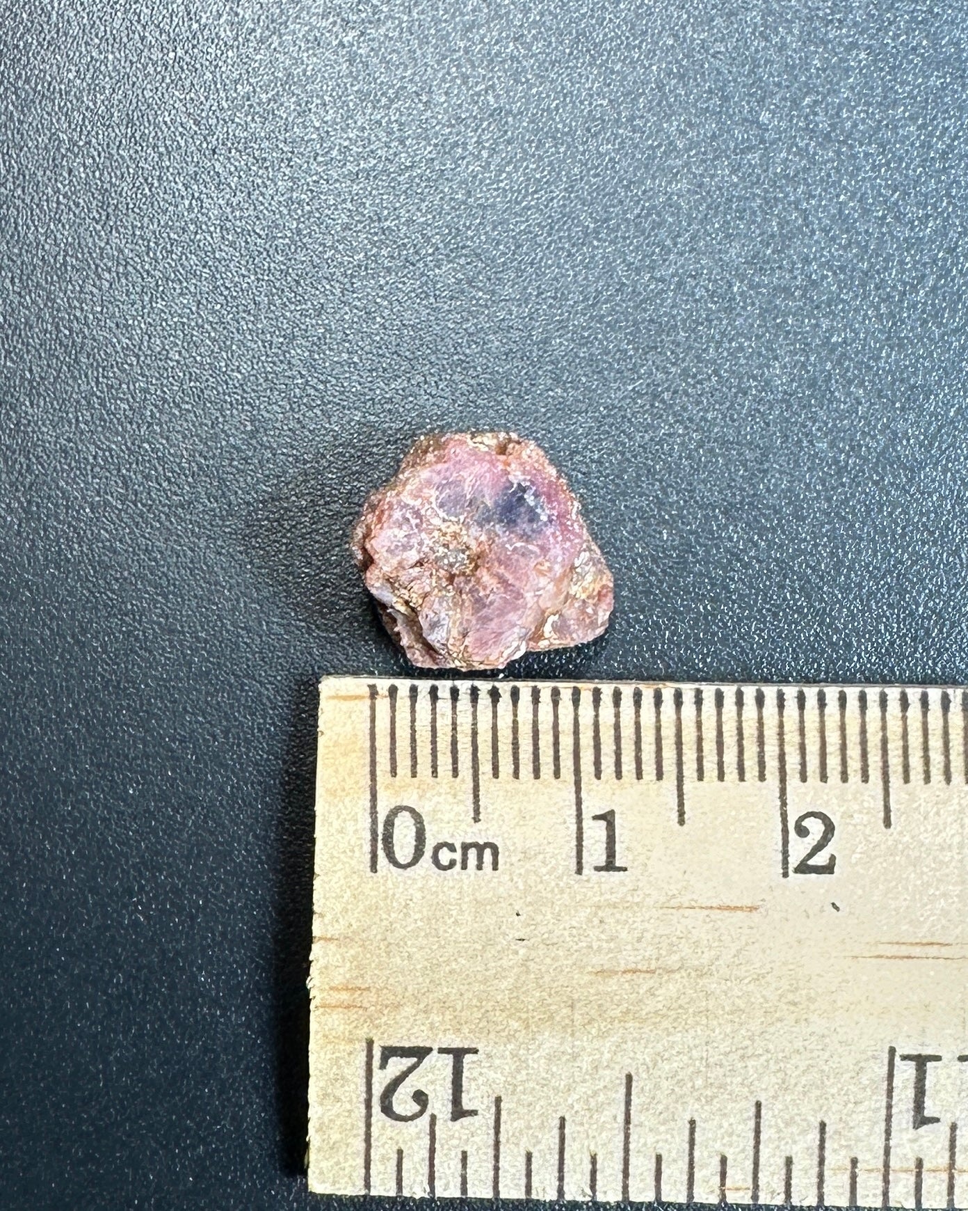 Propst Farm Ruby and Sapphire