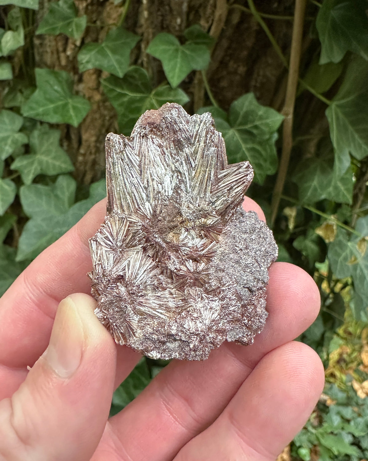 Pyrophyllite from Georgia
