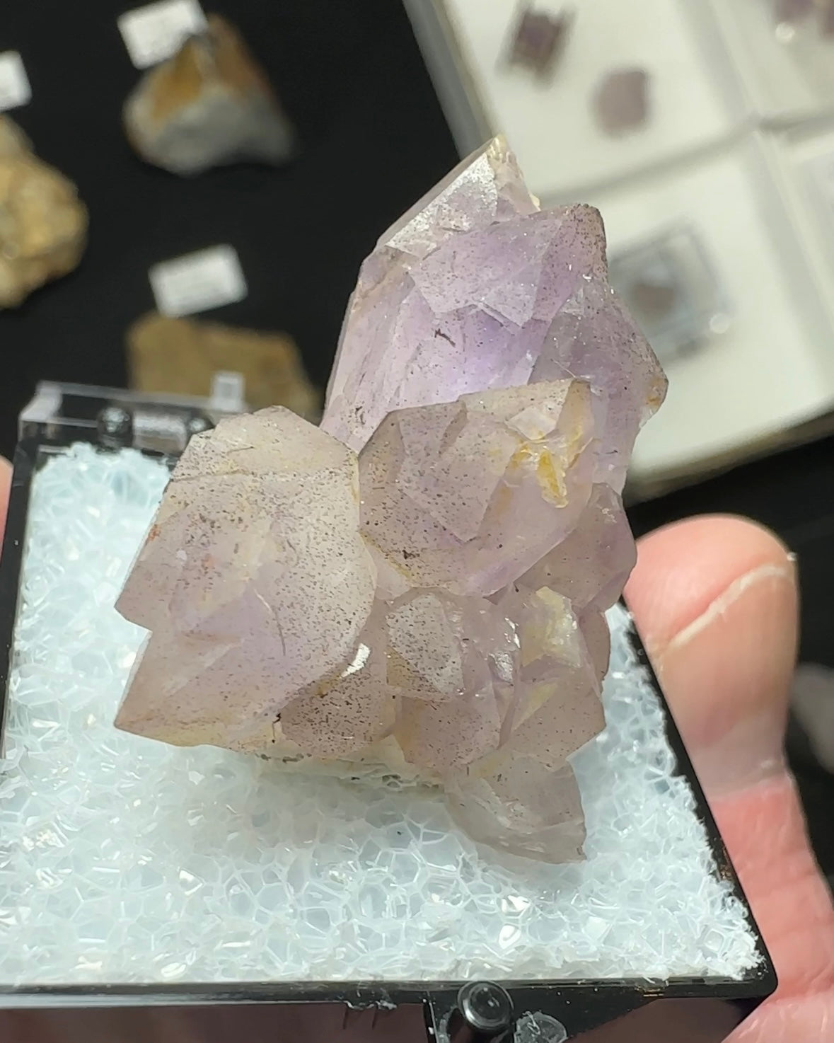 Amethyst from North Carolina