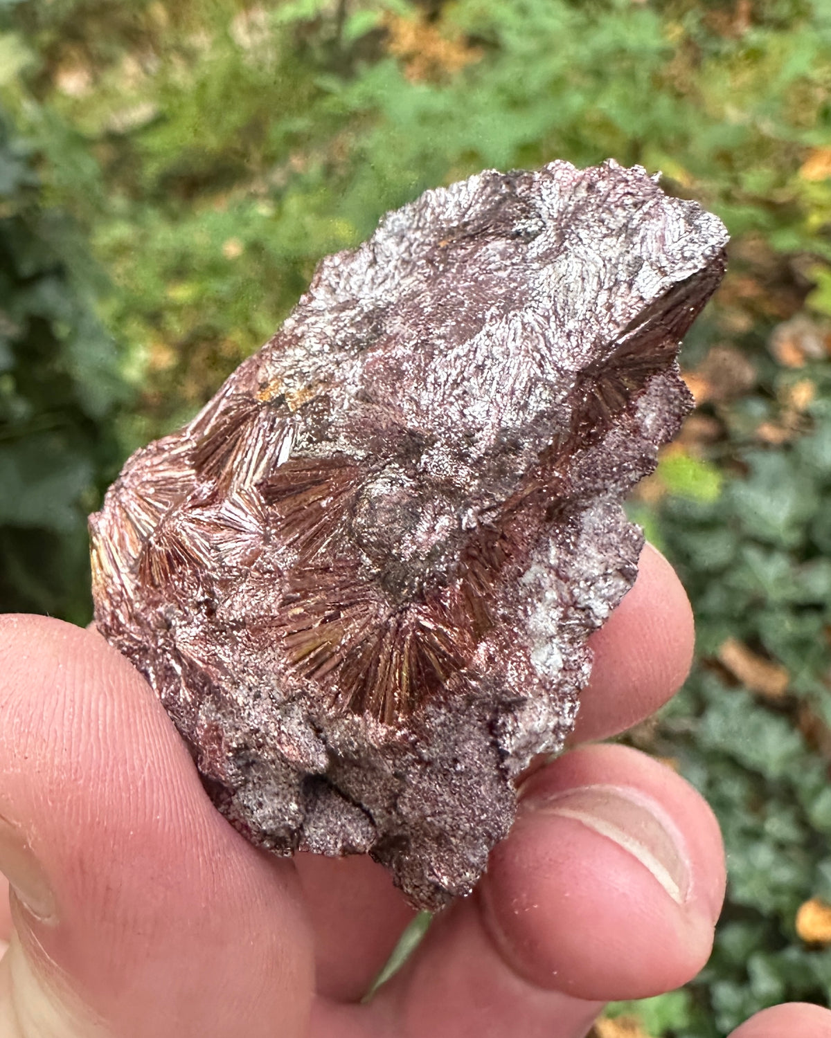 Pyrophyllite