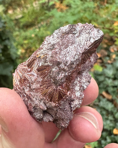Pyrophyllite