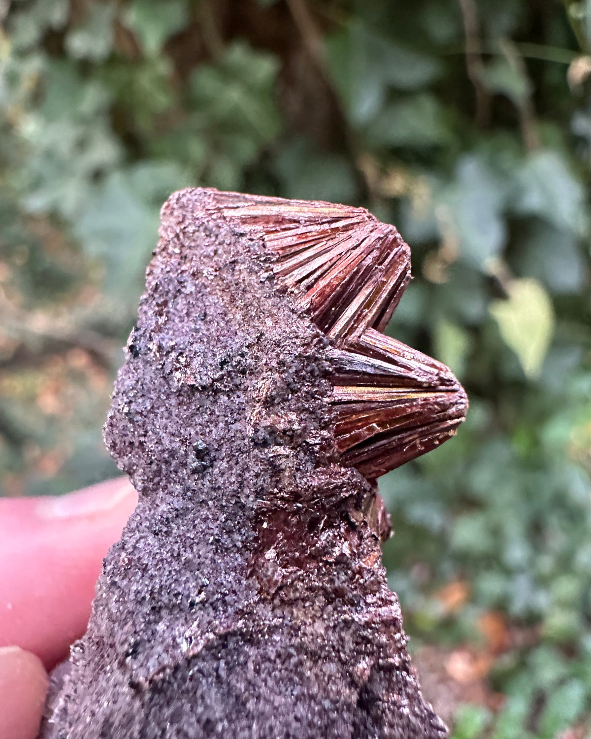 Pyrophyllite Specimen