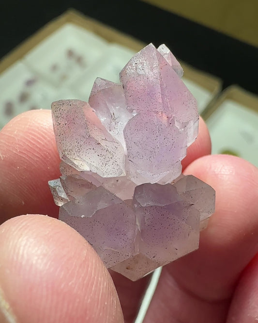 Amethyst from North Carolina