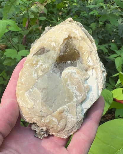 Calcite Clam