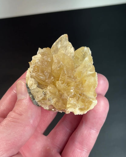 Huge Florida Calcite Crystals