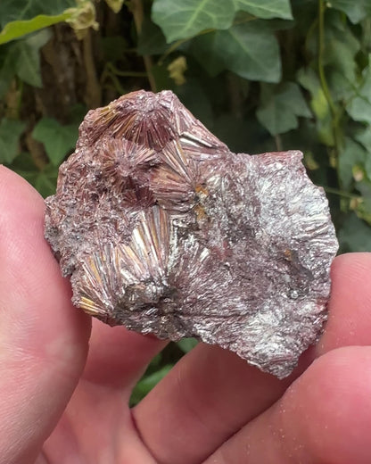Pyrophyllite