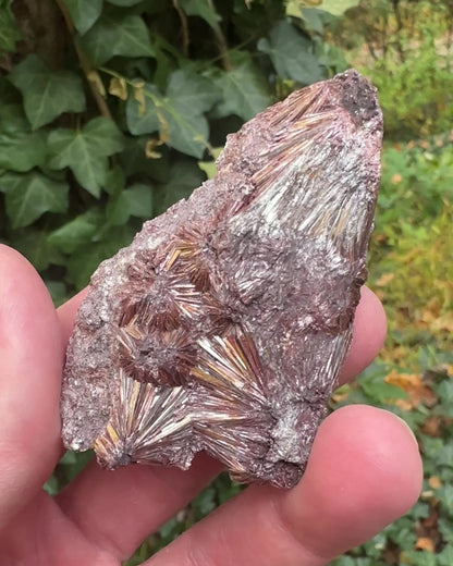Graves Mountain Pyrophyllite