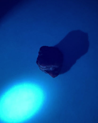 Propst Farm Ruby and Sapphire