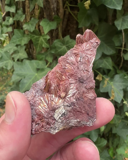 Pyrophyllite Specimen