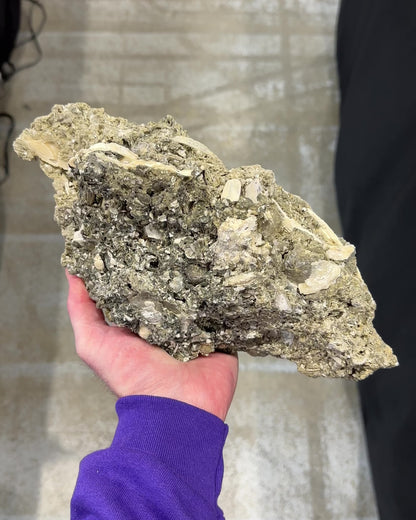 Rucks Pit Calcite Clams