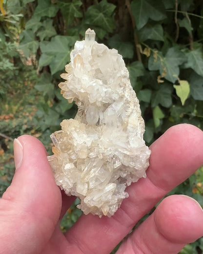 Jacksons Crossroads Quartz