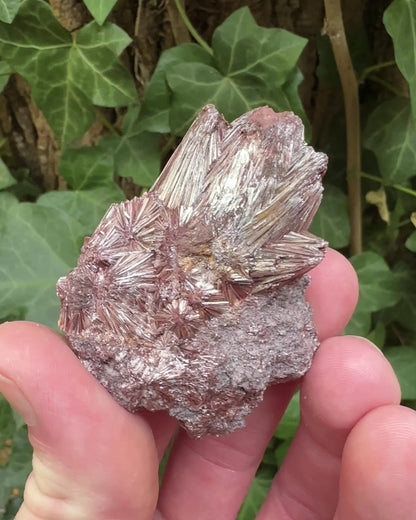 Pyrophyllite from Georgia