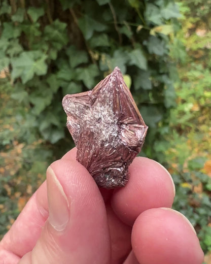 Pyrophyllite Cluster